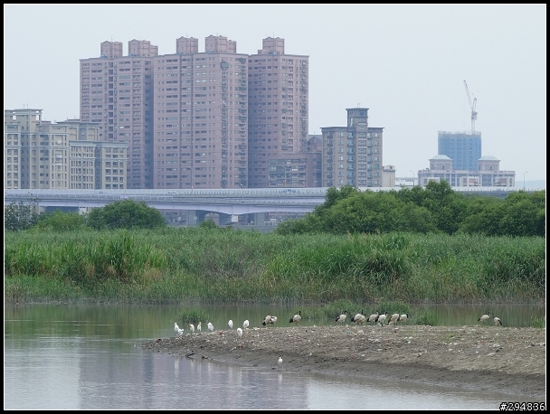 2013.07.21【單車遊記】探索河濱公園 & 環台北自行車道