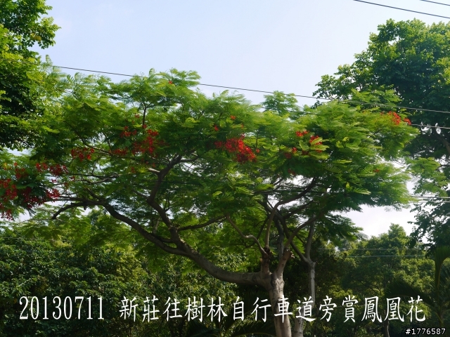 20130711鶯歌大溪三坑石門水庫之旅