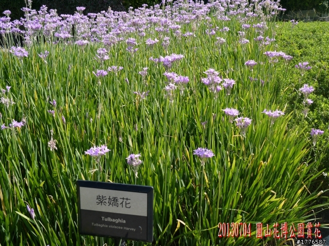 20130704 風櫃嘴燭台雙嶼金山賞牡丹蓮北海一周之旅