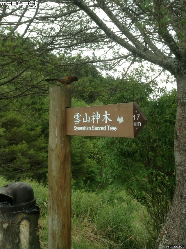 說好的開箱呢 Volvo V40