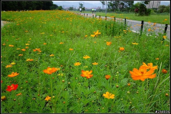 2013.07.21【單車遊記】探索河濱公園 & 環台北自行車道