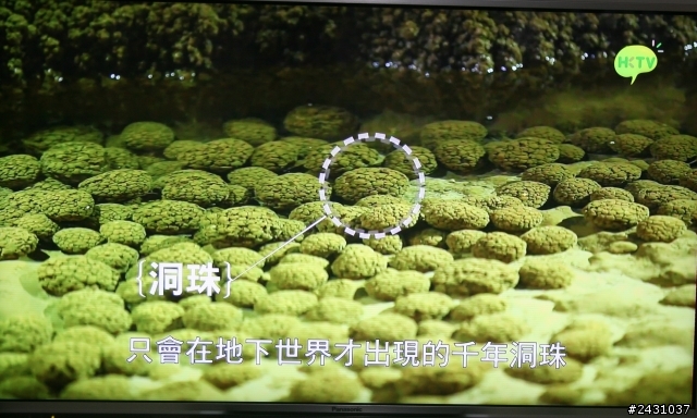 (開箱) 終於組成了3D家庭影院 Panasonic L42ET60 + SONY BDV