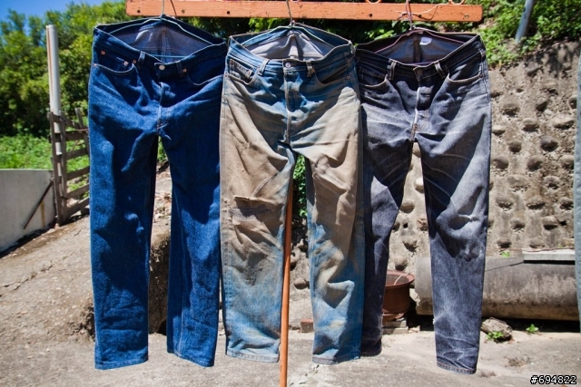 Levi's家族