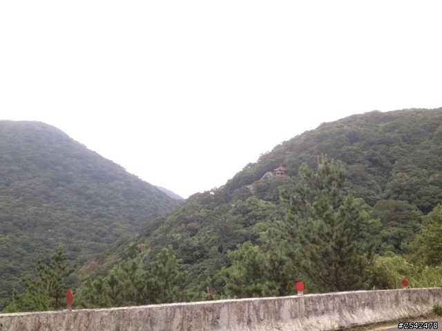 小烏龜挑戰巴拉卡公路