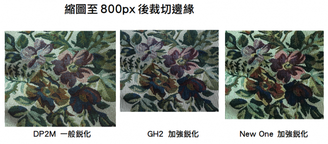 GH2與DP2M的縮圖銳利度測試