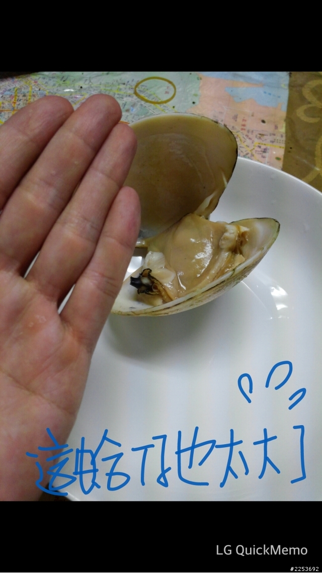 LG G Pro 旗艦微開箱