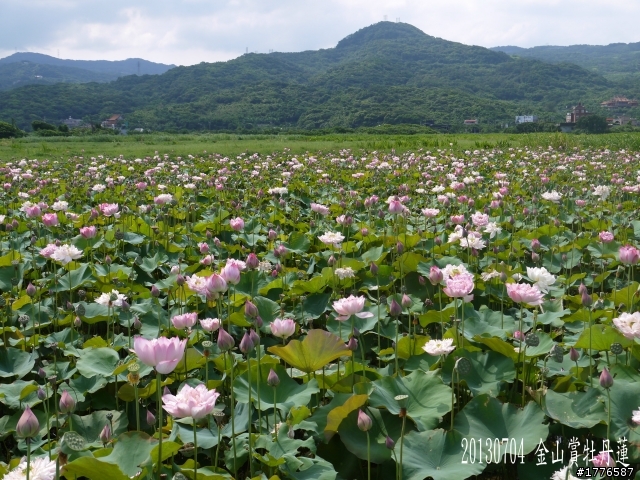 20130704 風櫃嘴燭台雙嶼金山賞牡丹蓮北海一周之旅