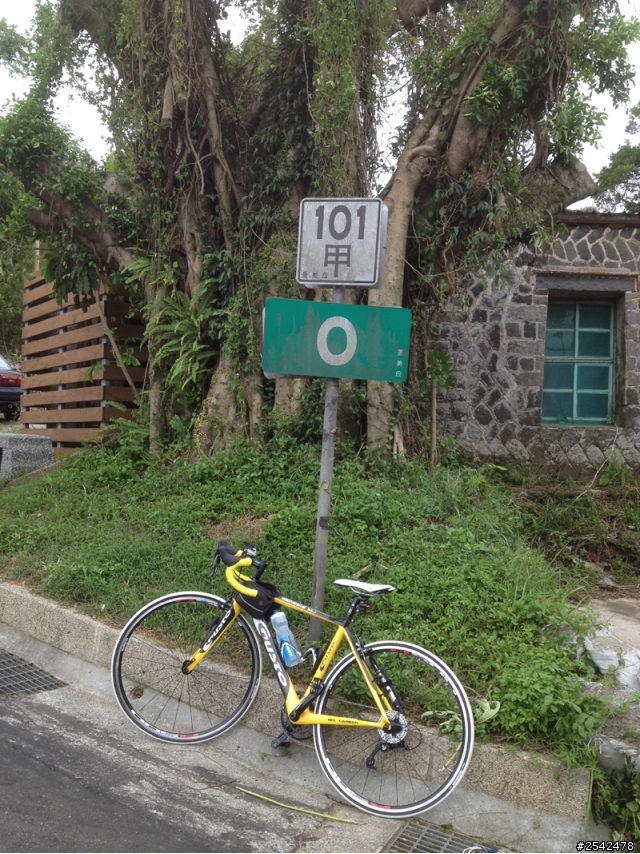 小烏龜挑戰巴拉卡公路