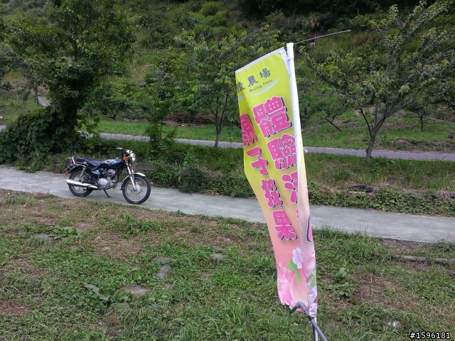 2013武陵農場露營採桃趣