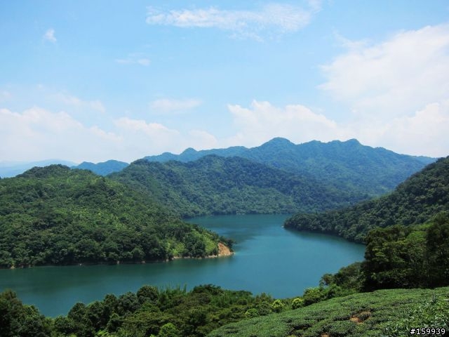 〔分享〕獅大爺在千島湖大受好評
