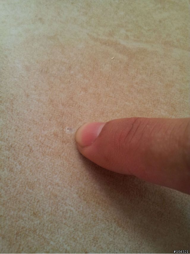 順喜小胖清潔的差勁品質==