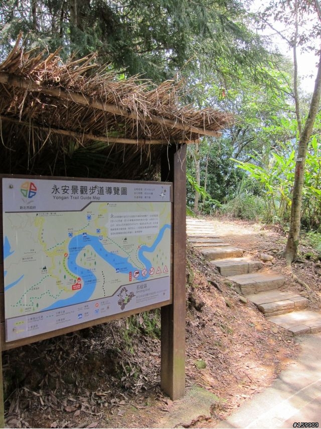 〔分享〕獅大爺在千島湖大受好評