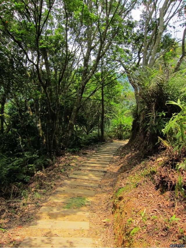 〔分享〕獅大爺在千島湖大受好評