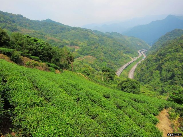 〔分享〕獅大爺在千島湖大受好評