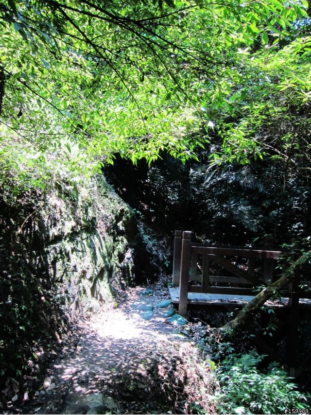 〔分享〕獅大爺在千島湖大受好評