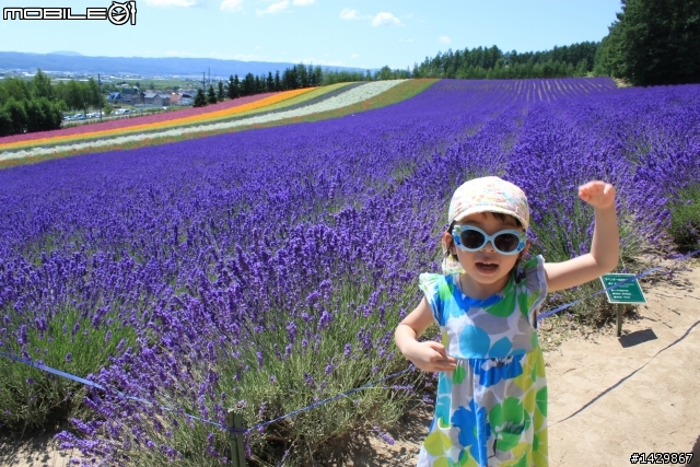 北海道自由行的小驚喜 ~ 小孩會很愛的 "iwako橡皮擦" (新增3款)