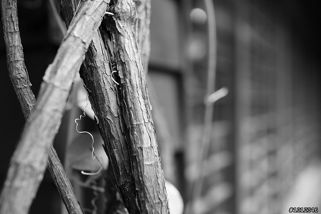 畫質與輕巧的科技之最-SONY RX1