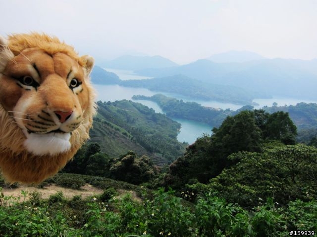〔分享〕獅大爺在千島湖大受好評