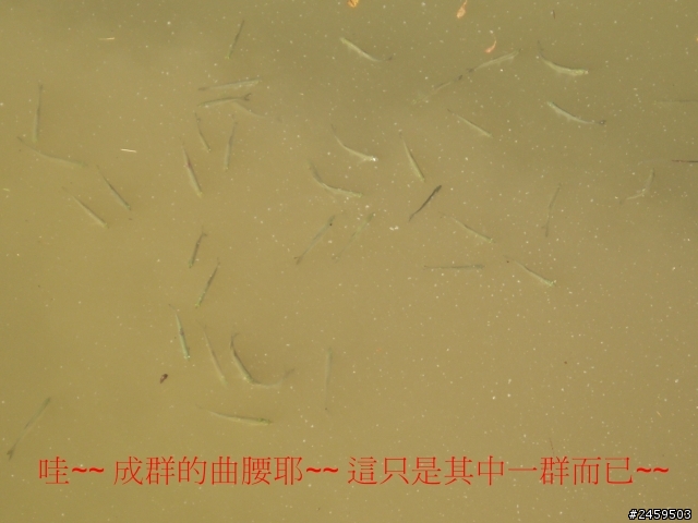 Yeah~~ 找到新釣點囉~~