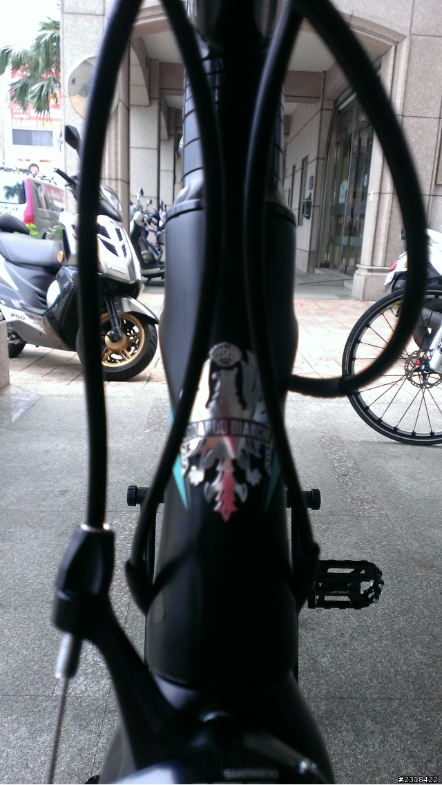 Bianchi 公路車分享 一次兩台