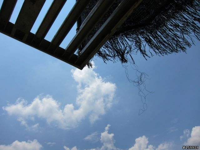 〔分享〕獅大爺在千島湖大受好評
