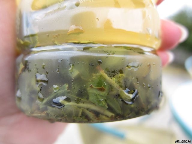 〔分享〕獅大爺在千島湖大受好評