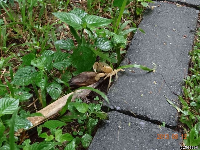 人生最有價值的,是堅持夢想的過程。20130809-20130815