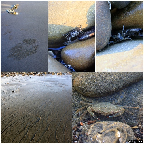2013-08-05~08 人生三度環島