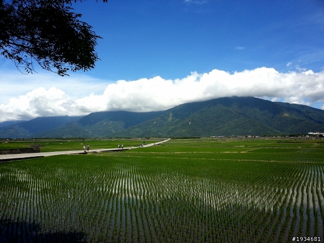 東部旅行分享文-台東篇(台九線由南往北)
