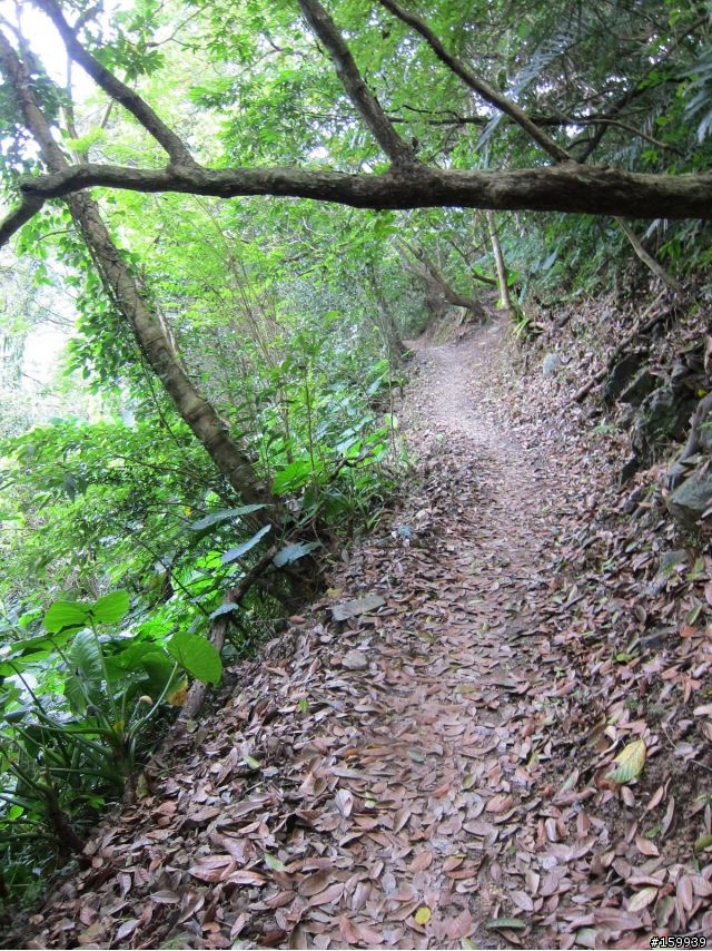 〔分享〕獅大爺在千島湖大受好評