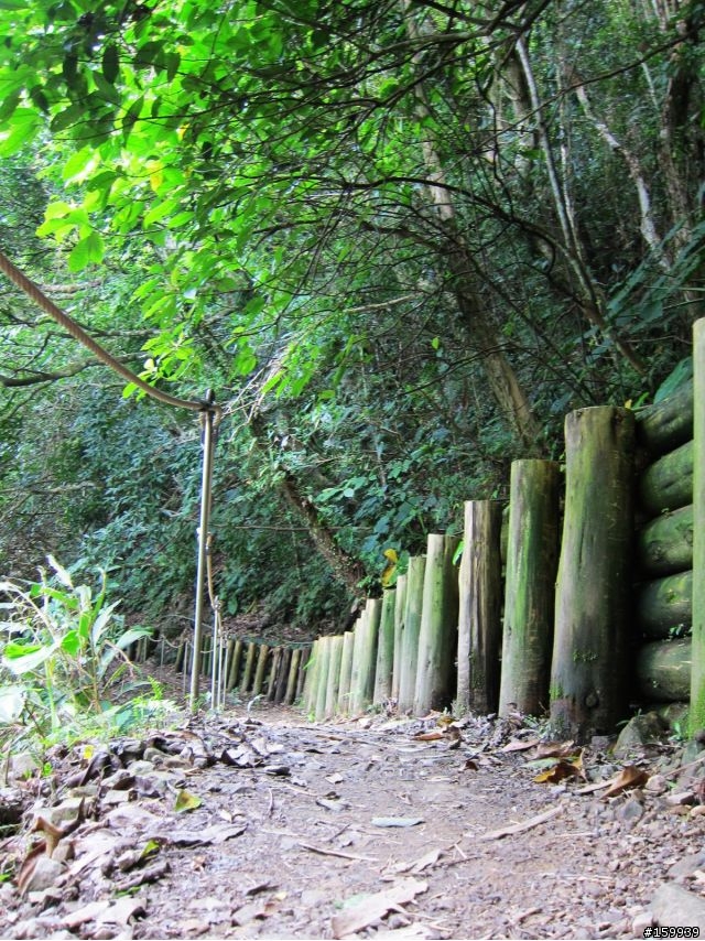 〔分享〕獅大爺在千島湖大受好評