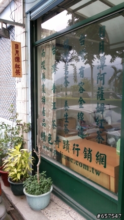 日月潭紅茶 綠色奇蹟