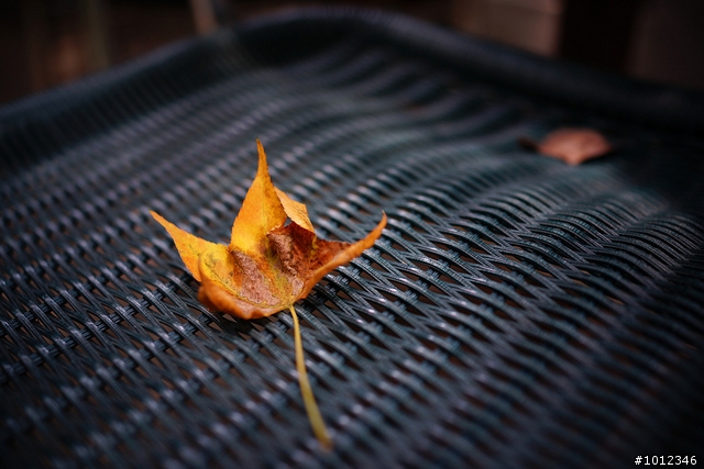畫質與輕巧的科技之最-SONY RX1