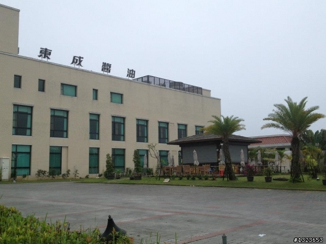 1020506 清晨的虎頭埤