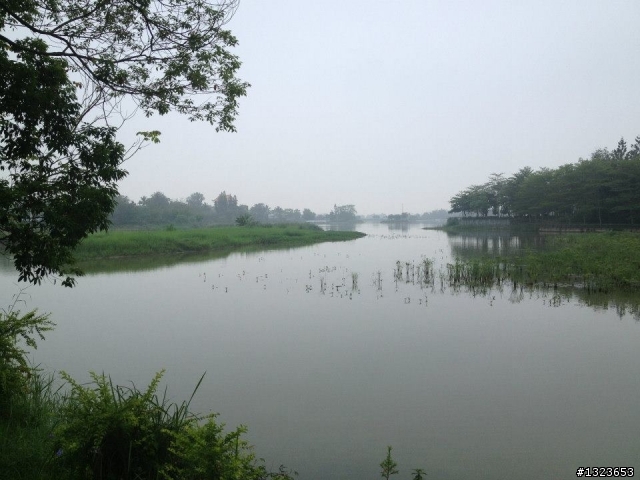 1020506 清晨的虎頭埤