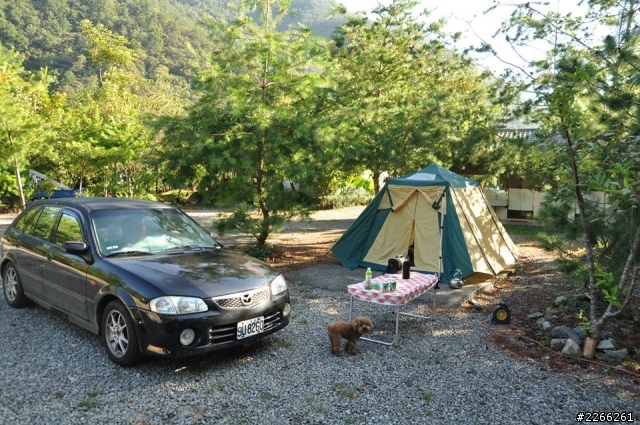 男人與公狗環島露營