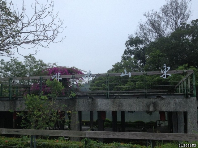 1020506 清晨的虎頭埤