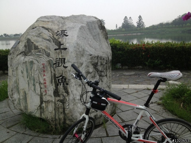 1020506 清晨的虎頭埤