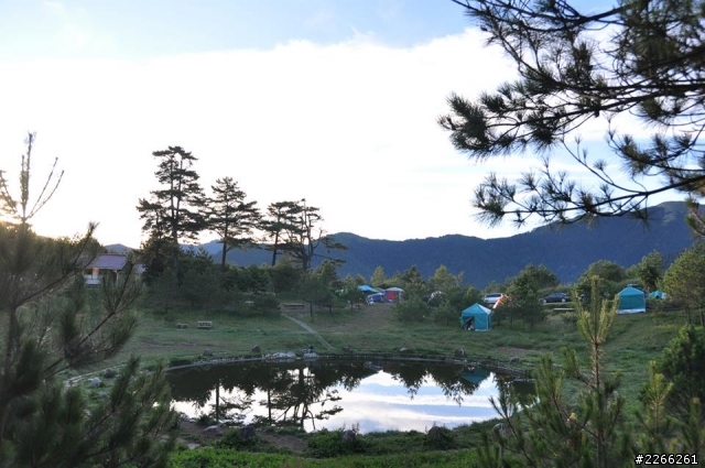 男人與公狗環島露營