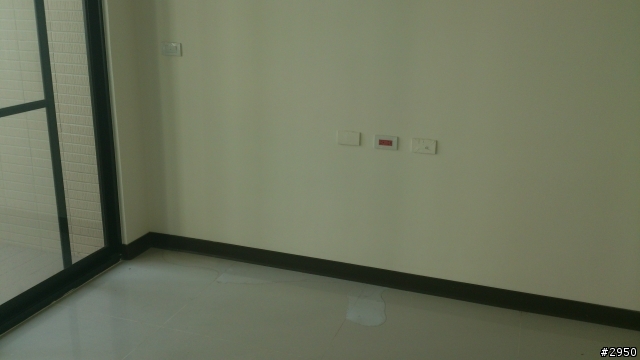 「請教」新建案的嚴重漏水