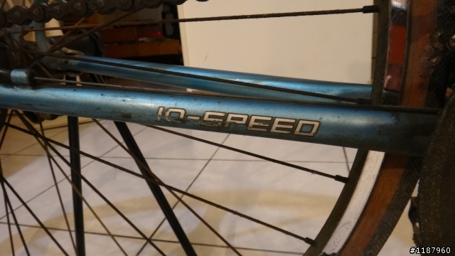 幫忙鑑定這台老車 GIANT GEMINI ?