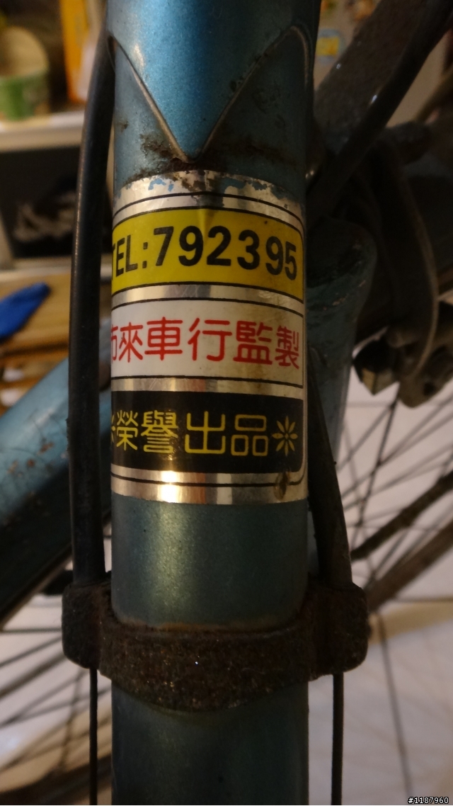 幫忙鑑定這台老車 GIANT GEMINI ?