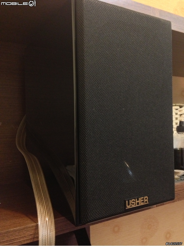 小瓦數擴大機 V.S USHER S-520