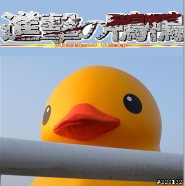 進擊的鴨鴨-光榮碼頭-香蕉碼頭 包括搭船資訊