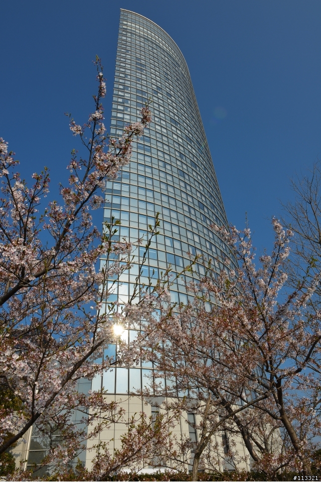 2013日本京阪神之旅