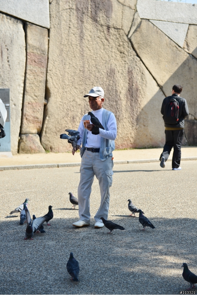 2013日本京阪神之旅