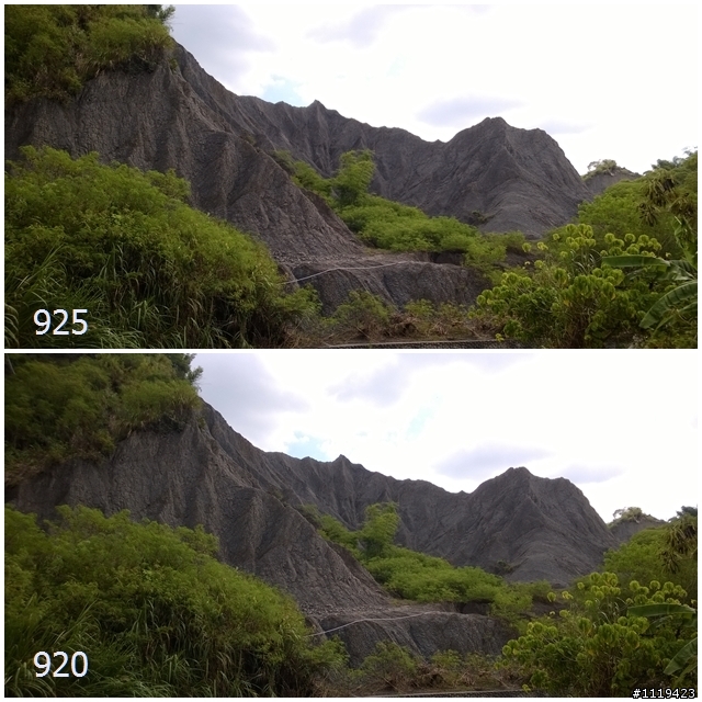 來花東打狗PK -920 VS 925