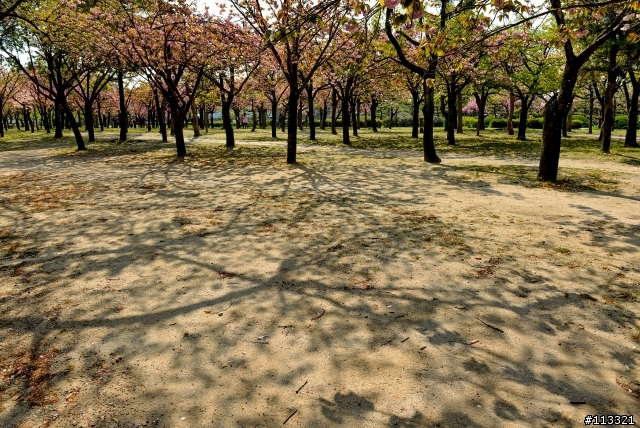 2013日本京阪神之旅