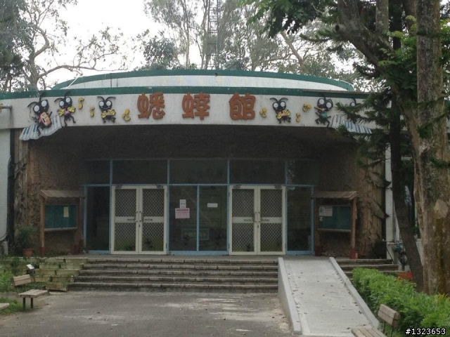 1020506 清晨的虎頭埤