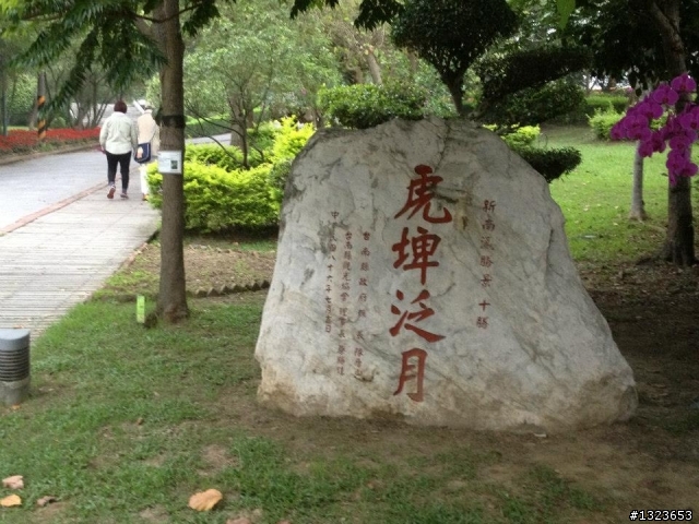 1020506 清晨的虎頭埤